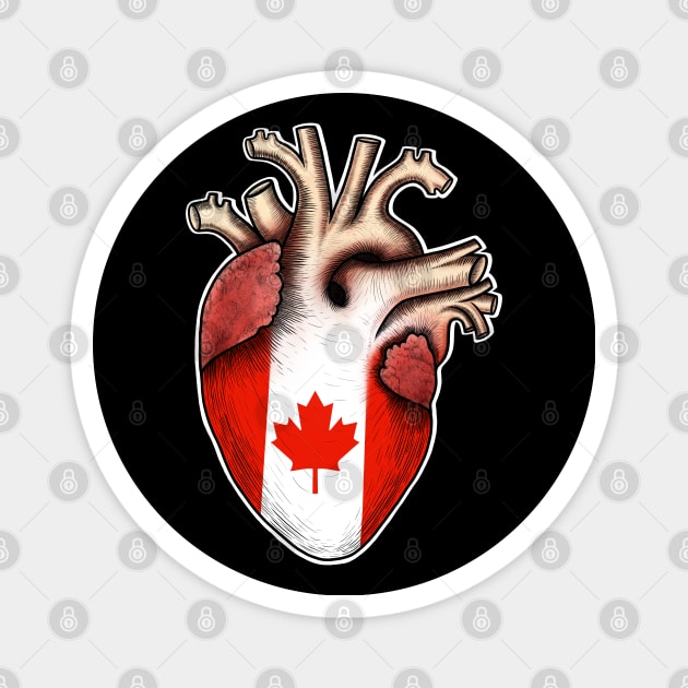 I love Canada,human heart anatomy ,I love my heart Magnet by Artardishop